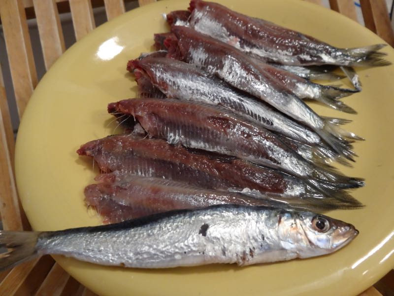 Cleaned sardines for sardeles pastes