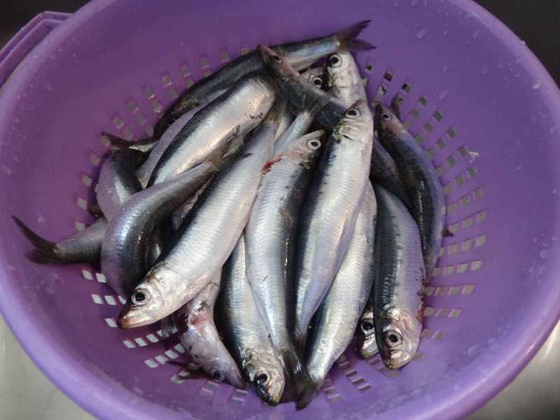 Cleaned sardines for sardeles pastes